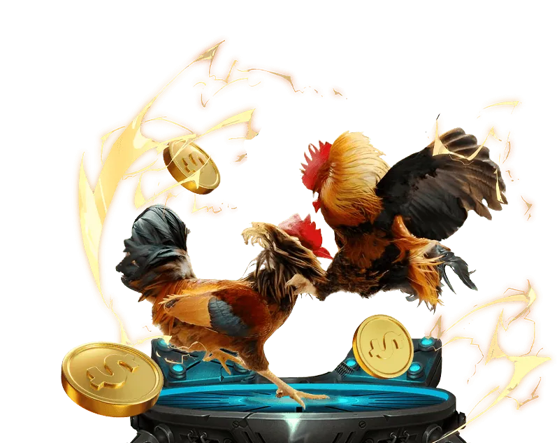 Cá Cược Bóng Rổ Ken88